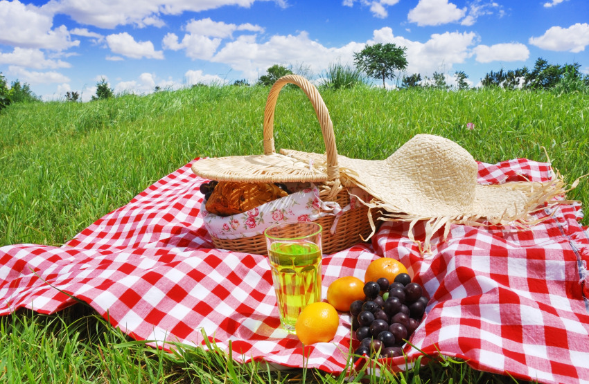 piknik
